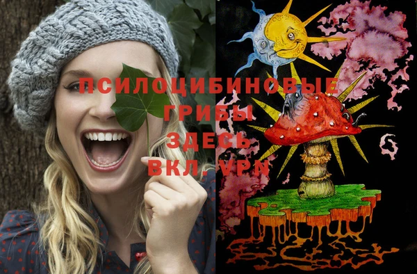 apvp Абдулино